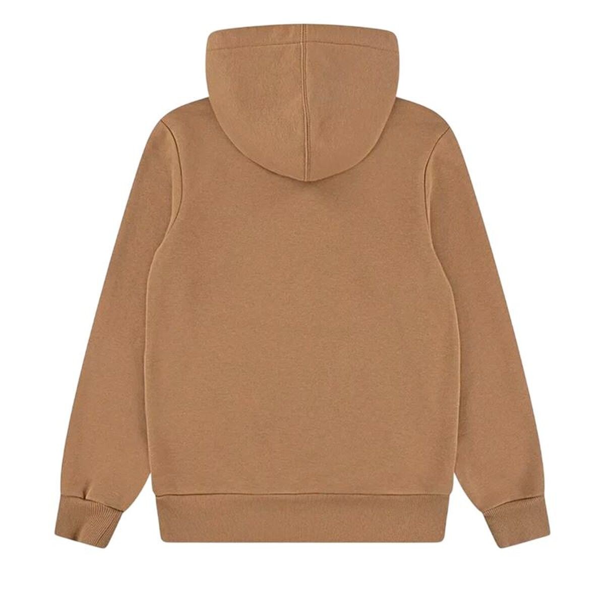 Толстовка с капюшоном детская Batwing Screenprint Hoodie Коричневый