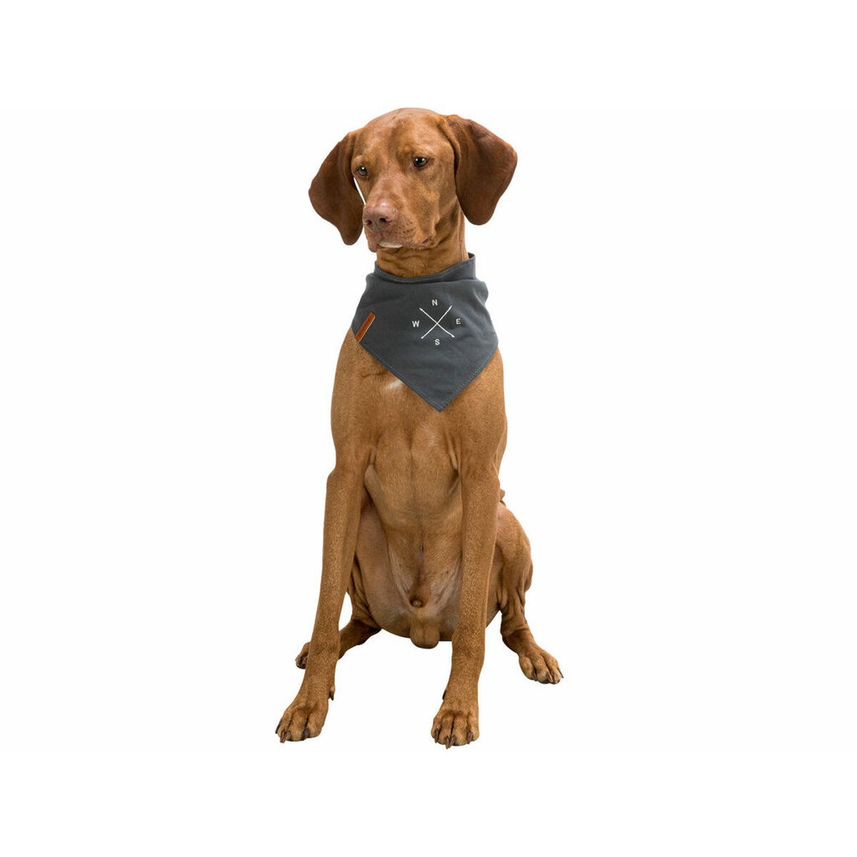 Шарф Пёс
