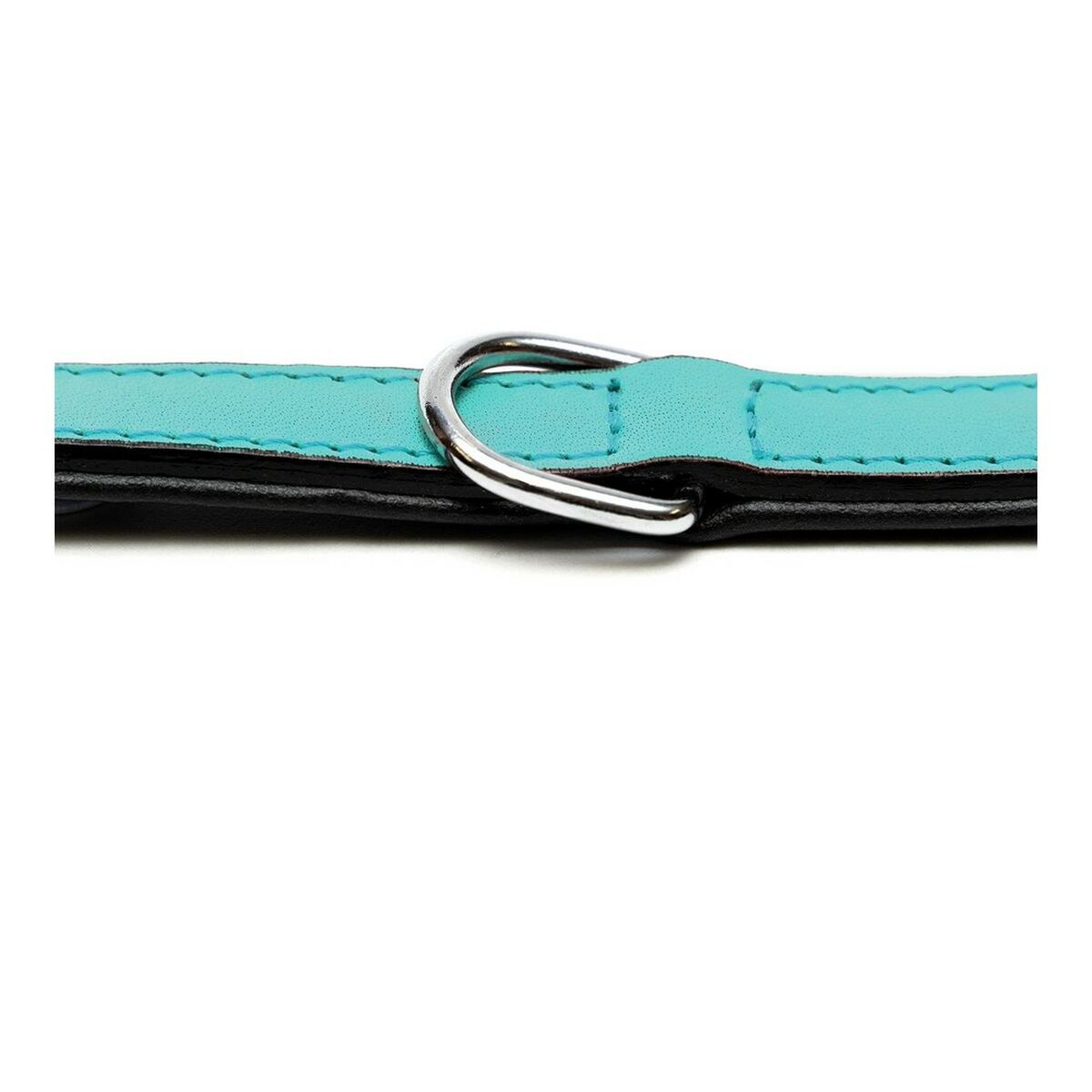 Dog collar Padded Turquoise 45 cm (45 x 2 cm)