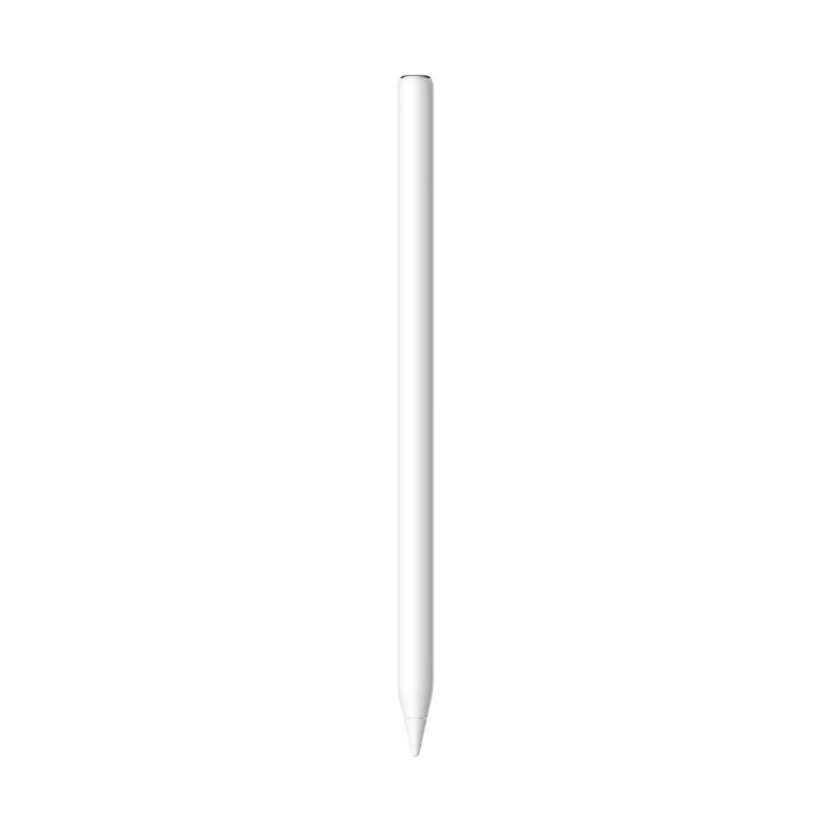 Pointer White