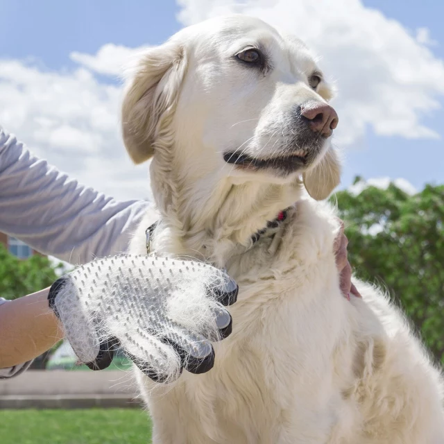 Pet Brush & Massage Glove Relpet