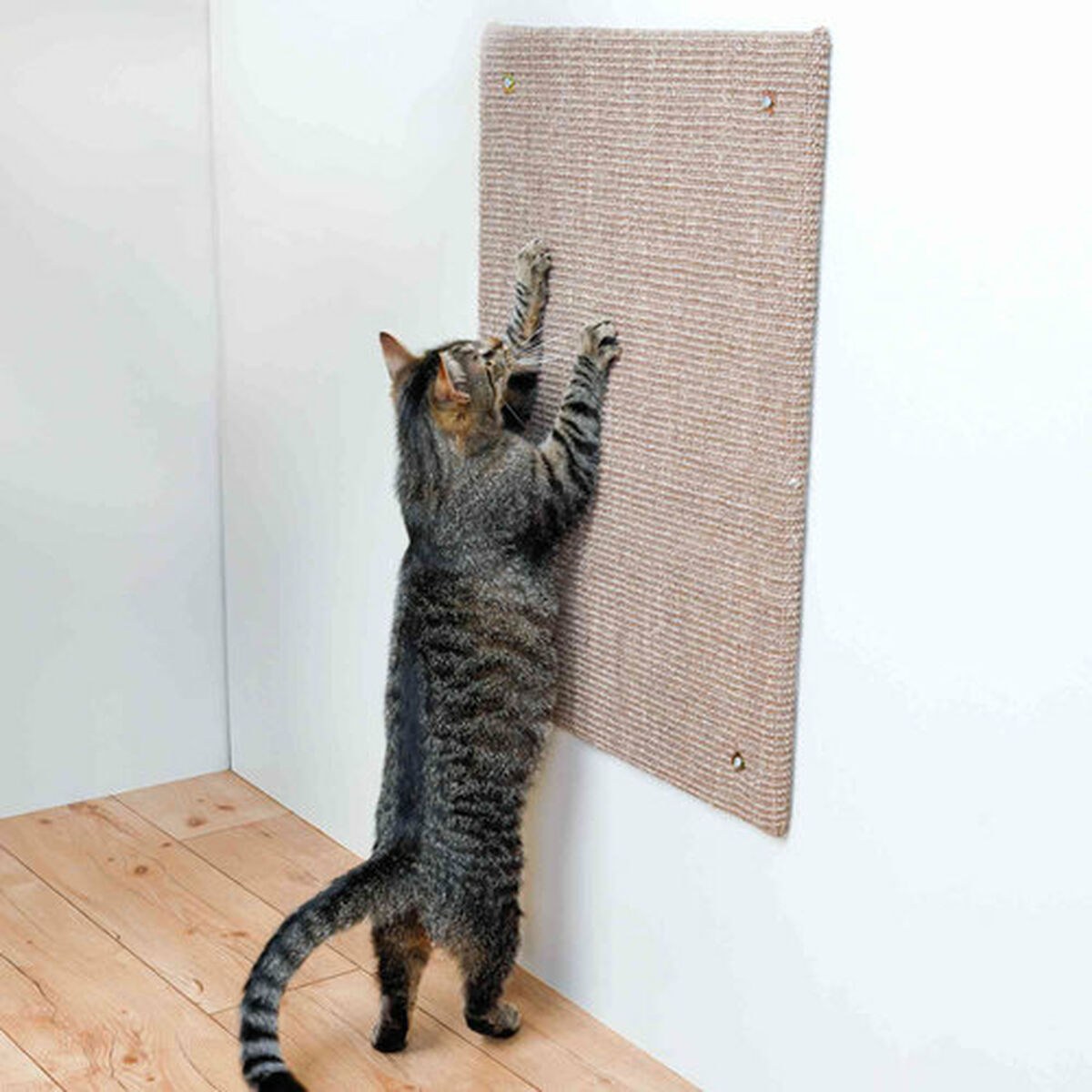 Scratching Post for Cats XXL Brown