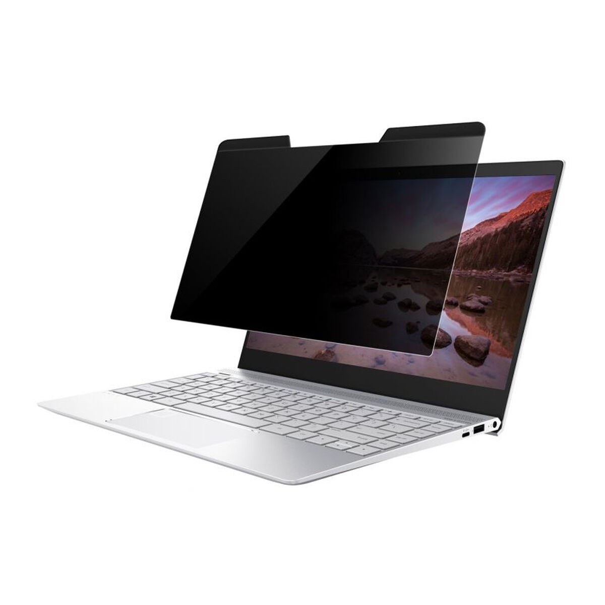 Privacy Filter for Monitor D31694
