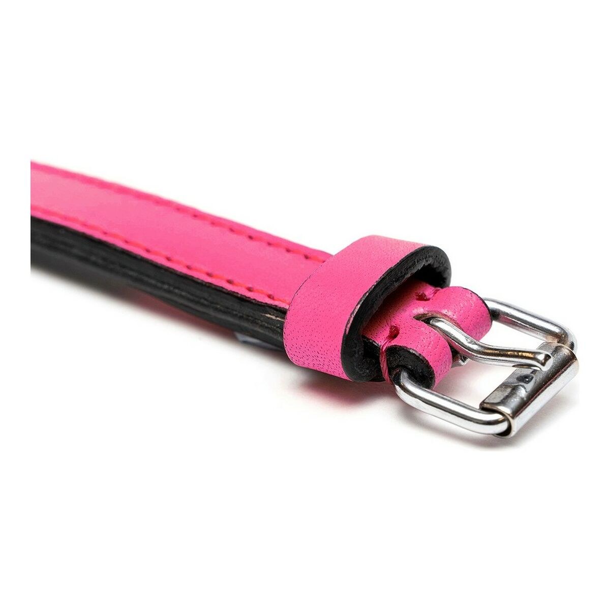 Dog collar Padded Fuchsia (40 x 2 cm)