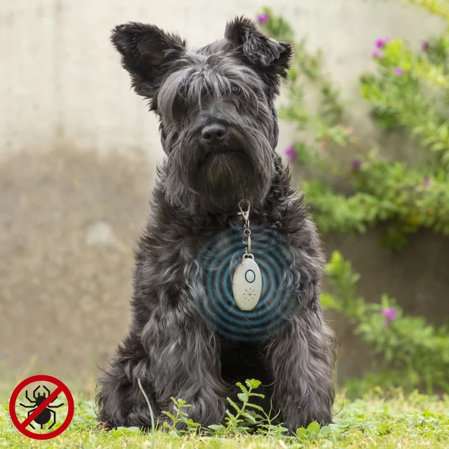Rechargeable Ultrasound Parasite Repellent for Pets PetRep