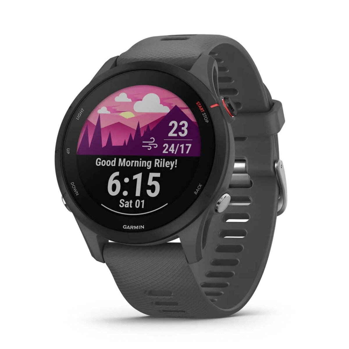 Умные часы Forerunner 255 Серый 1,3" 46 mm