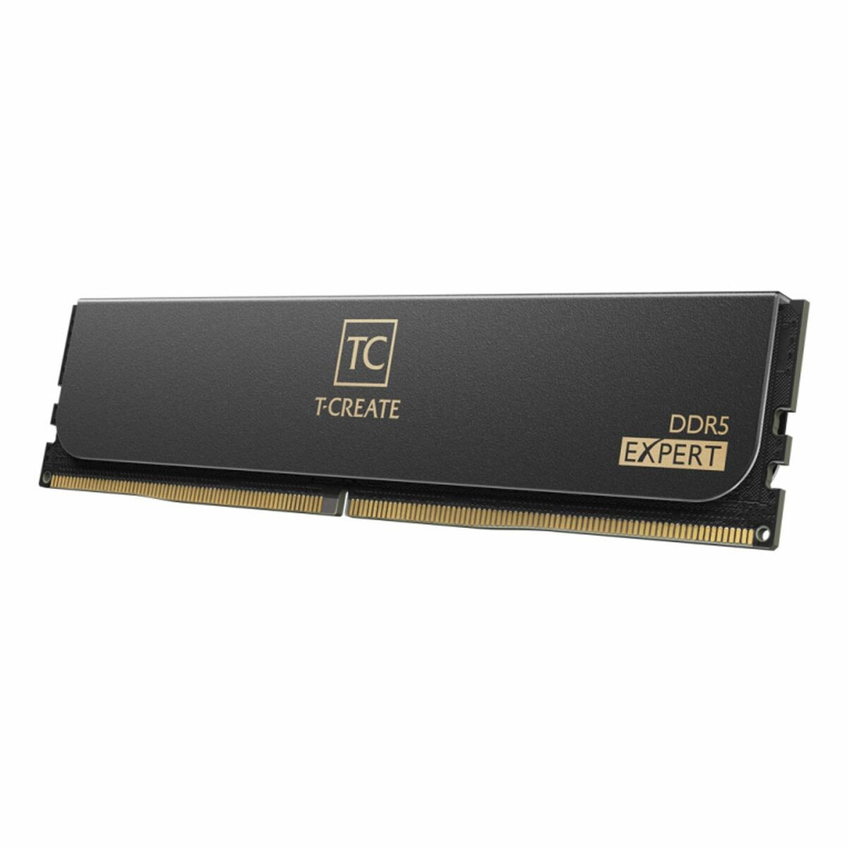 RAM Memory CTCED532G6000HC38GDC01