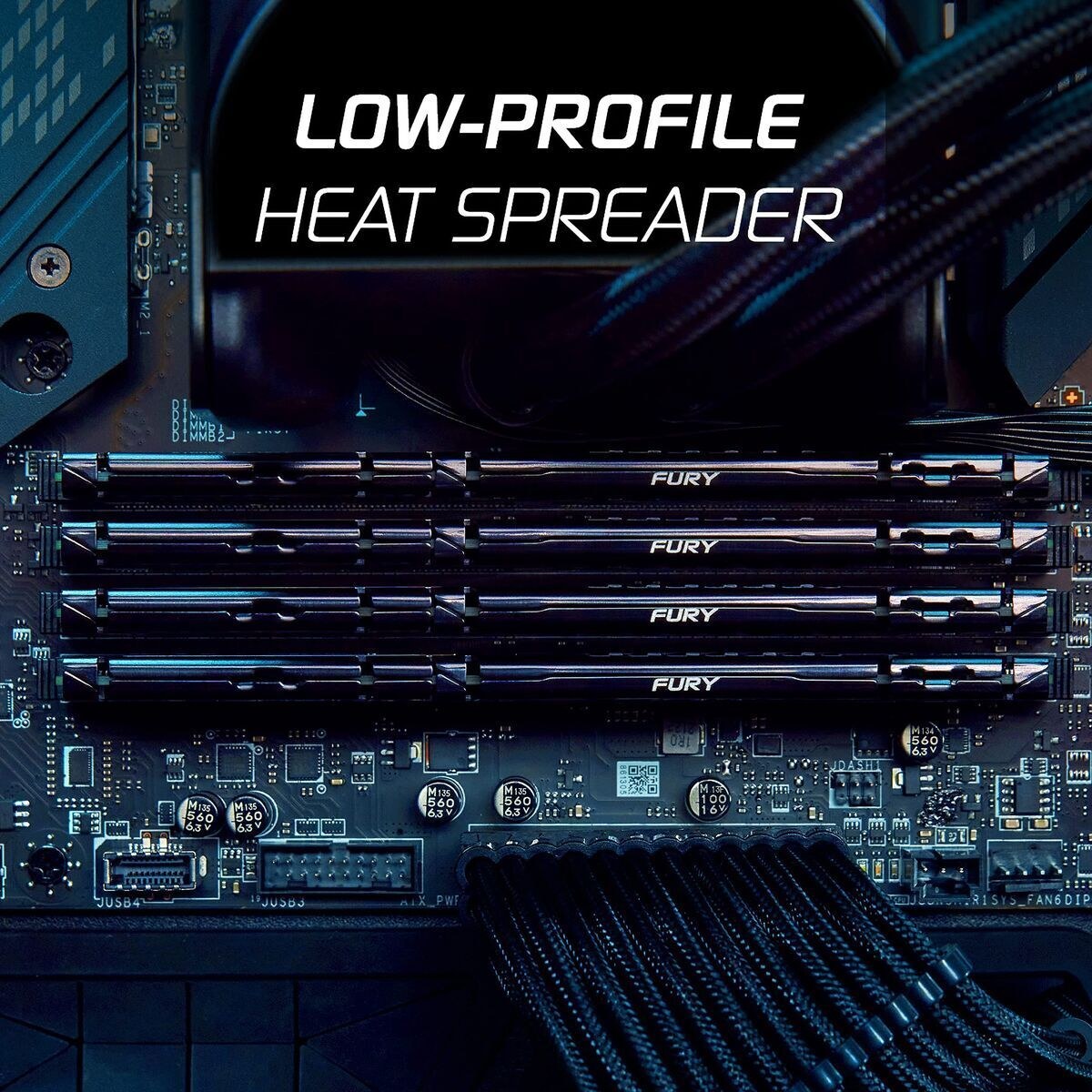 RAM Memory KF560C36BBE-8 8 GB DDR5 3000 MHz 6000 MHz