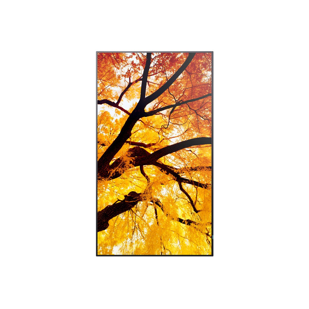 Videowall Monitor 60006053 4K Ultra HD 42,5"