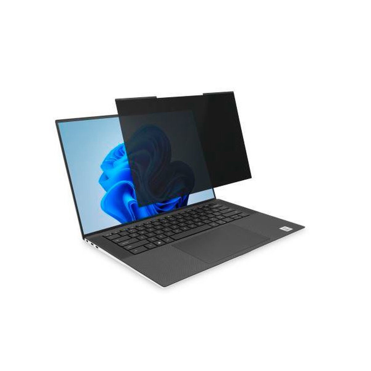 Privacy Filter for Monitor MagPro