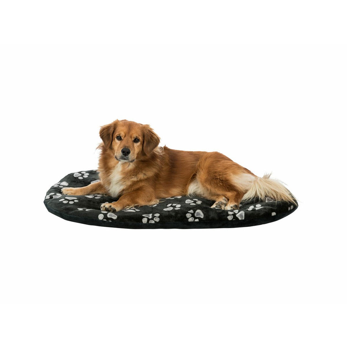 Dog Bed Jimmy Black 44 x 31 cm