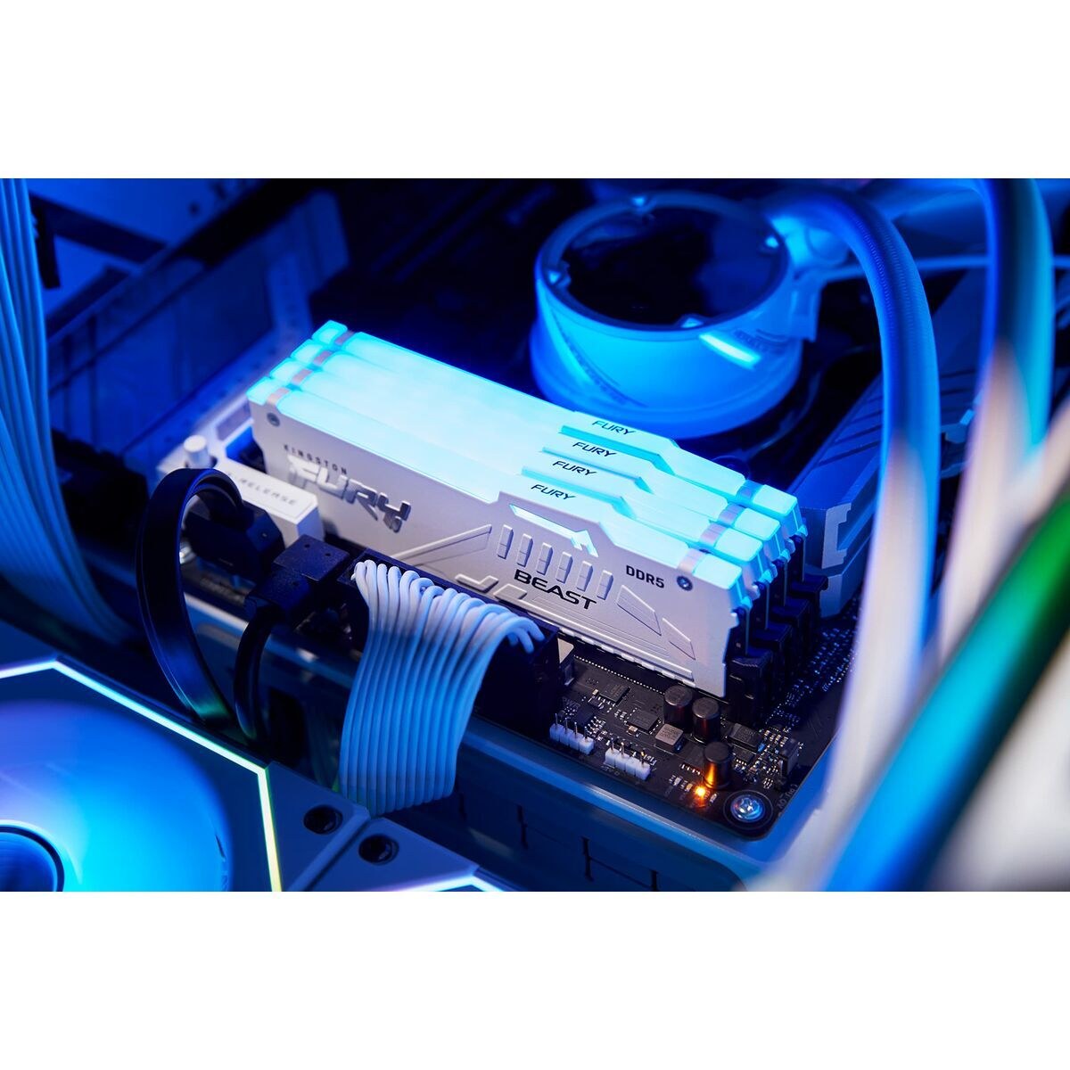 RAM Memory KF560C30BWEAK2-32 32 GB DDR5 SDRAM DDR5 6000 MHz cl30