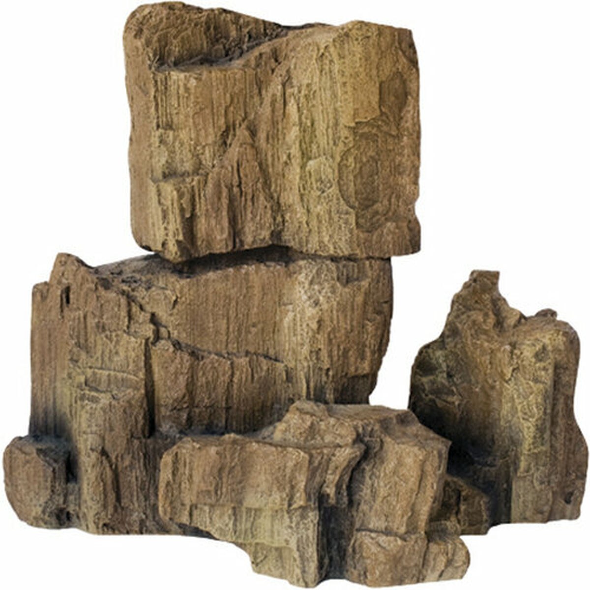 Decorative Stones FOSSIL