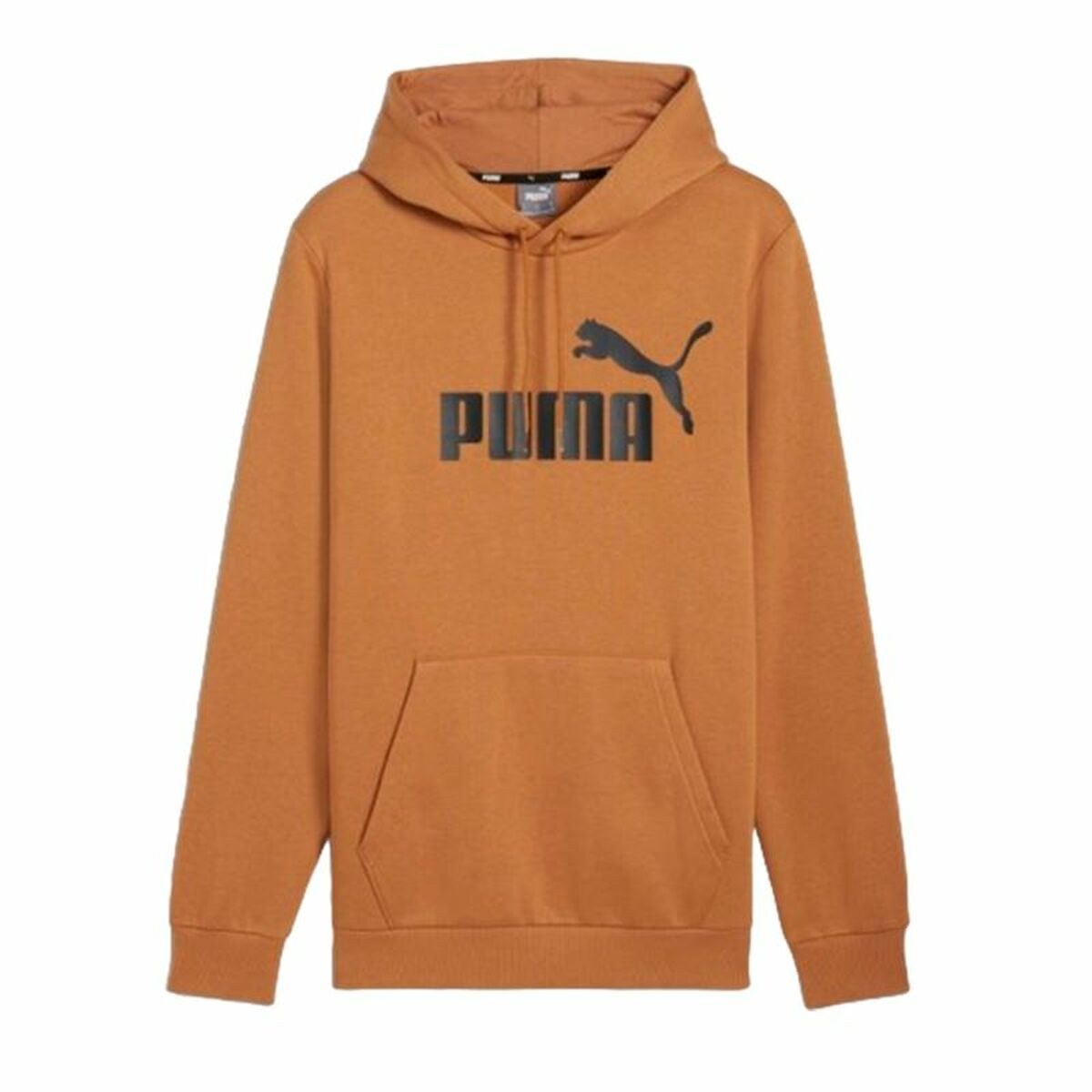 Толстовка с капюшоном мужская Essentials Big Logo Hoodie Fl
