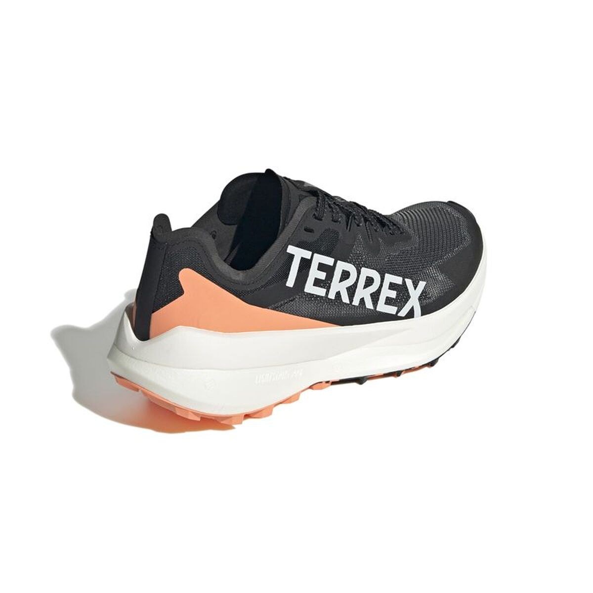 Men's trail running shoes (mountain running) Terrex Agravic Spee Black