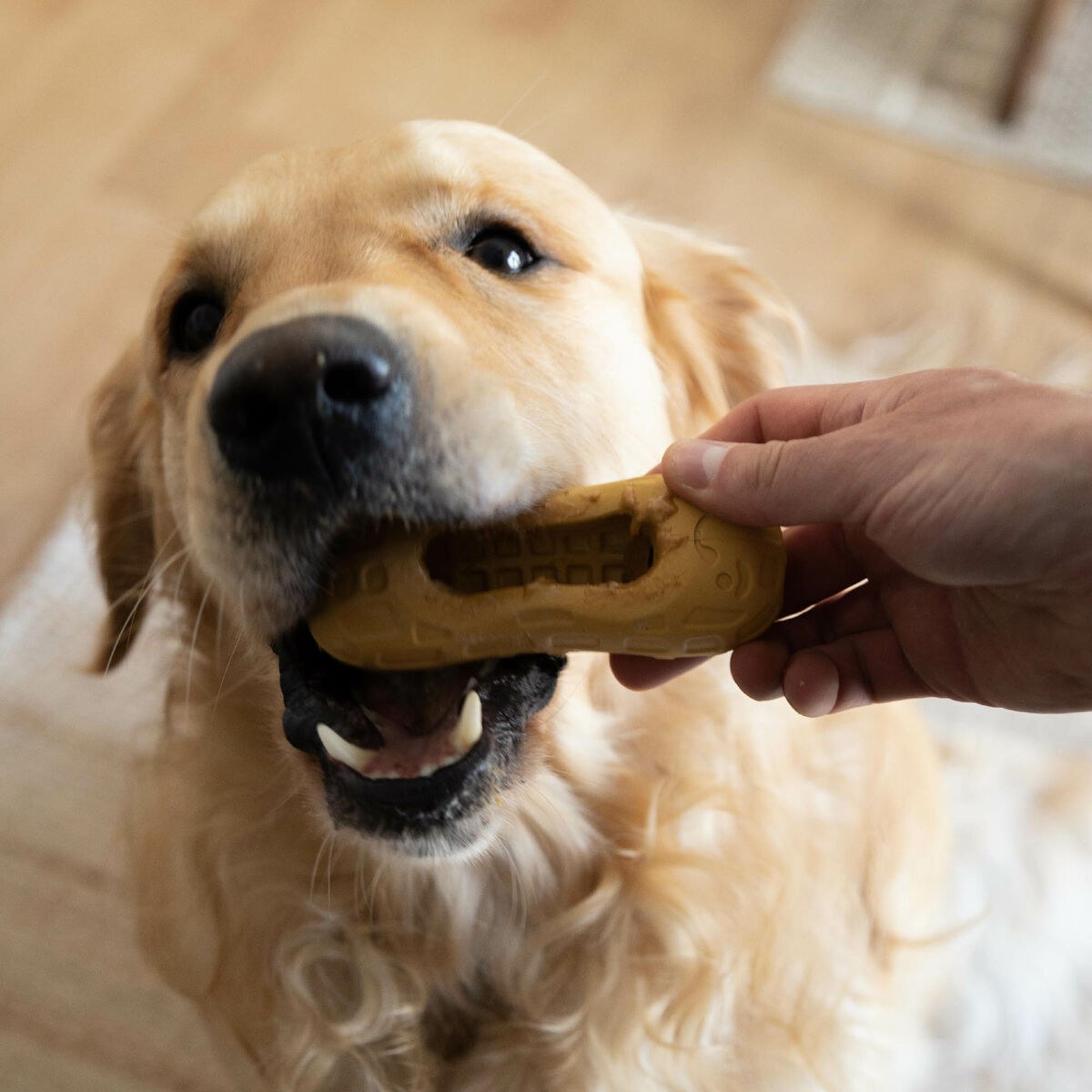 2-In-1 Treat Dispenser Toy for Pets