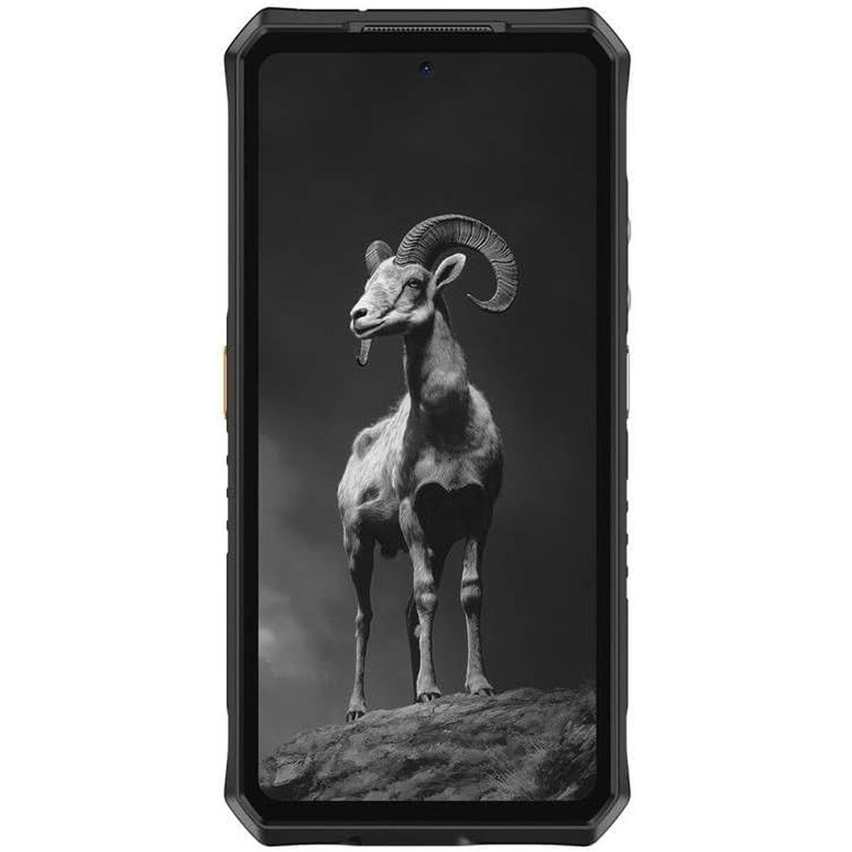 Smartphone ARMOR 28 PRO 6,67" 16 GB RAM 16 GB 512 GB Black