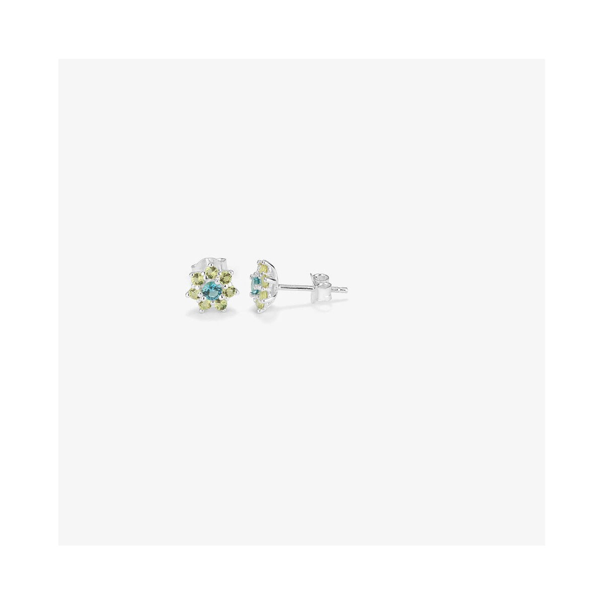 Ladies' Earrings RY000109