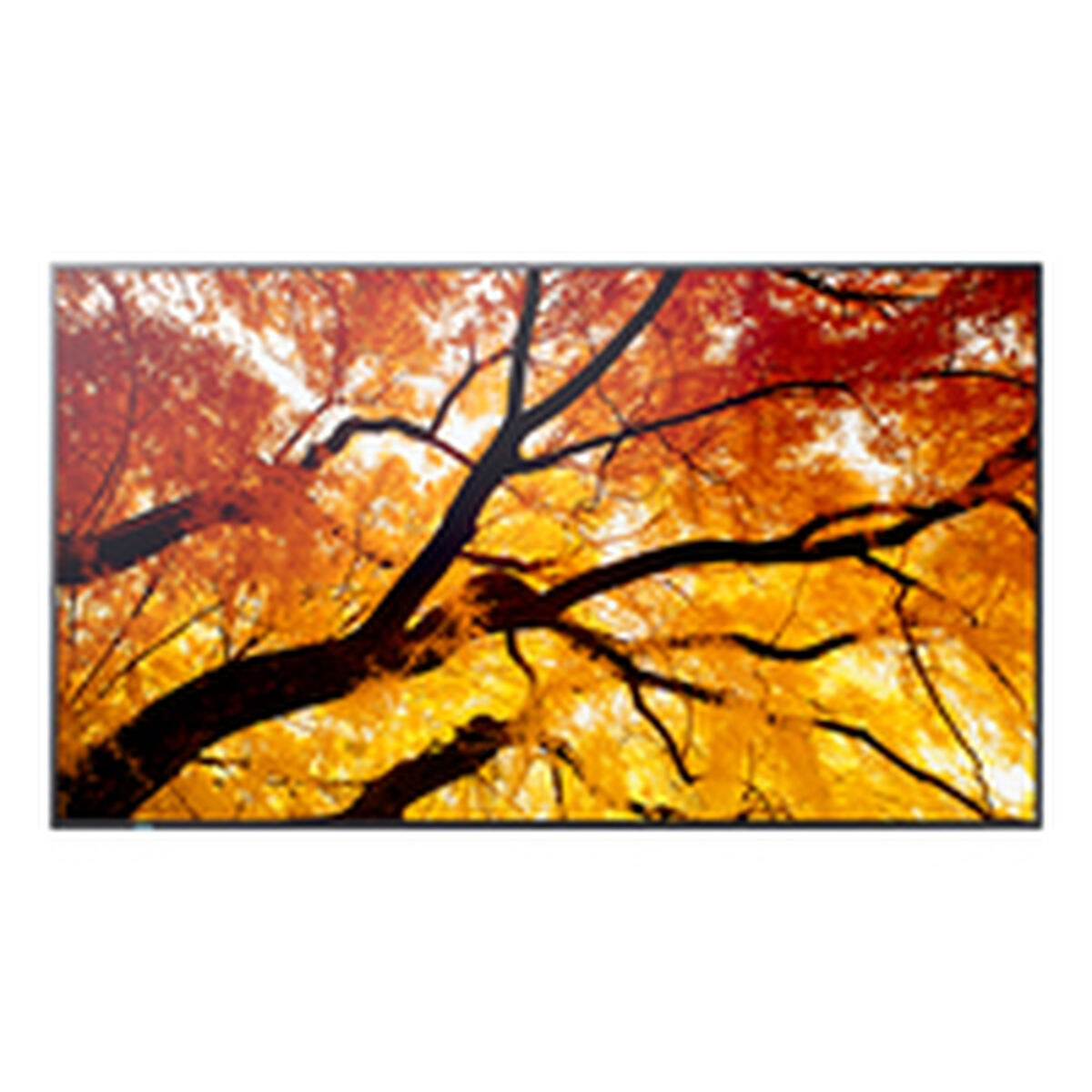 Монитор Videowall 60006058 4K Ultra HD 86"