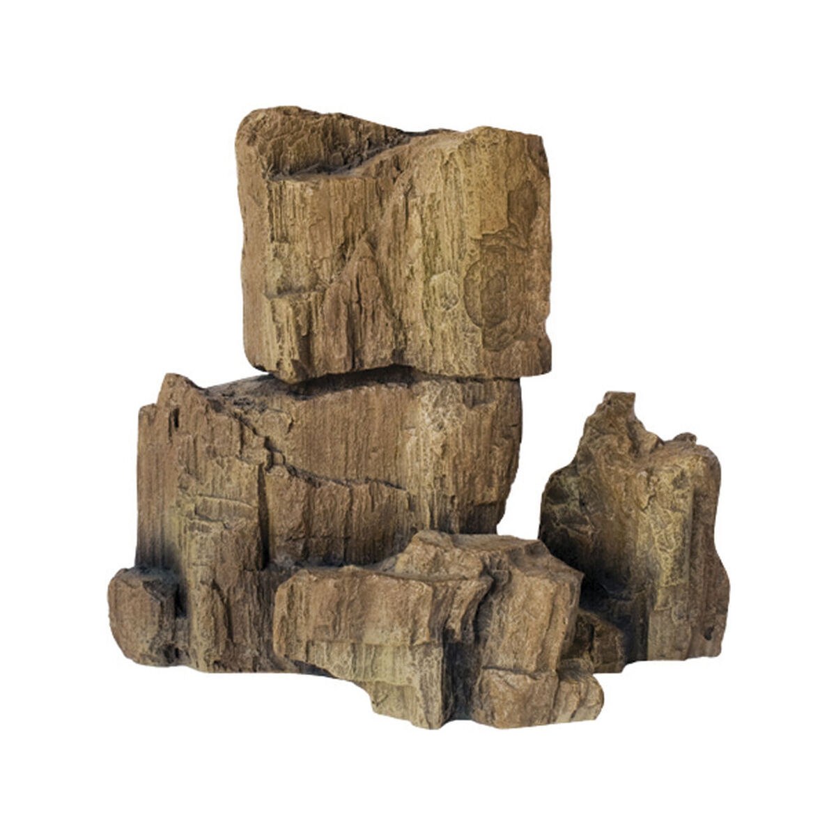 Decorative Stones FOSSIL