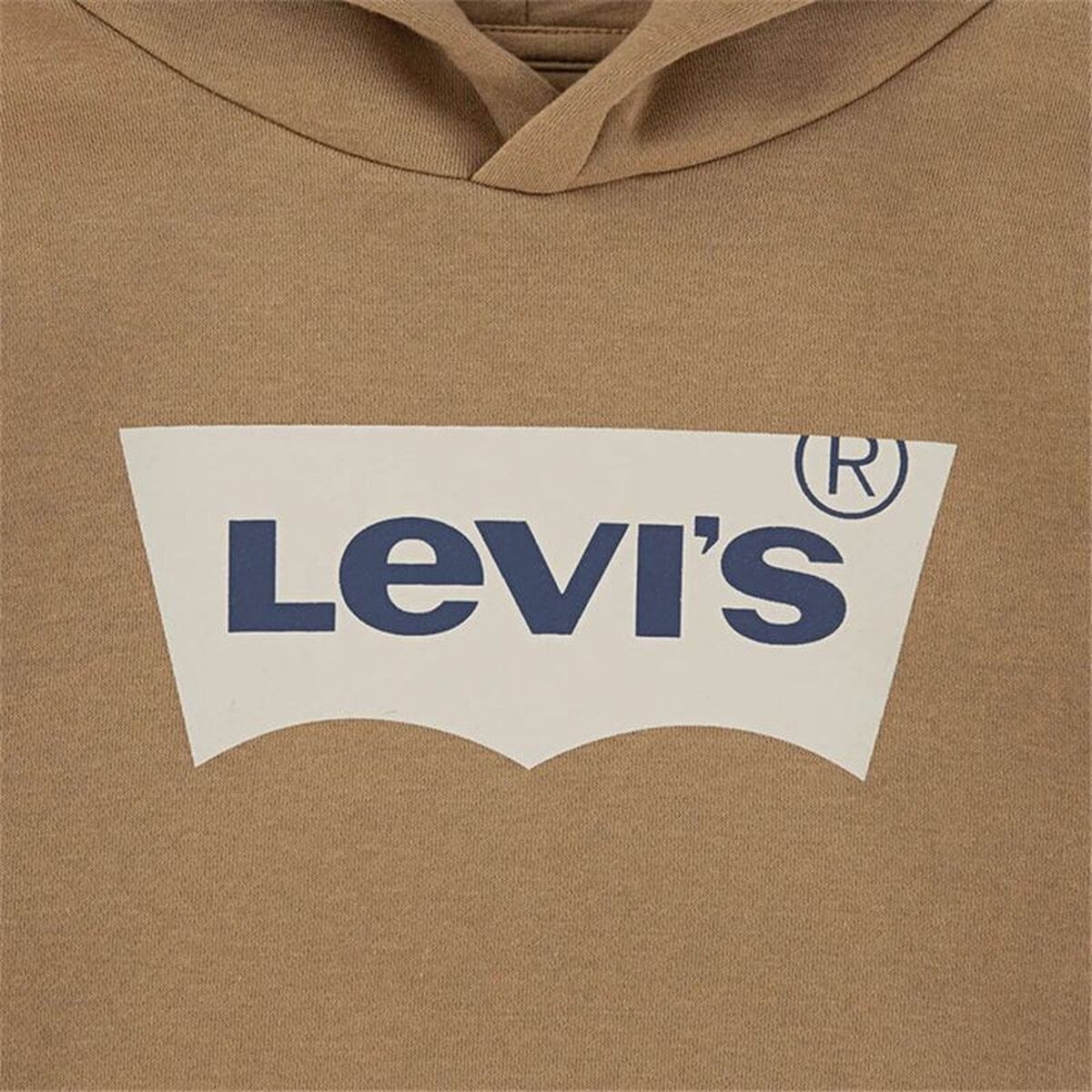 Толстовка с капюшоном детская Lvb Batwing Screenprint Hoodie Коричневый