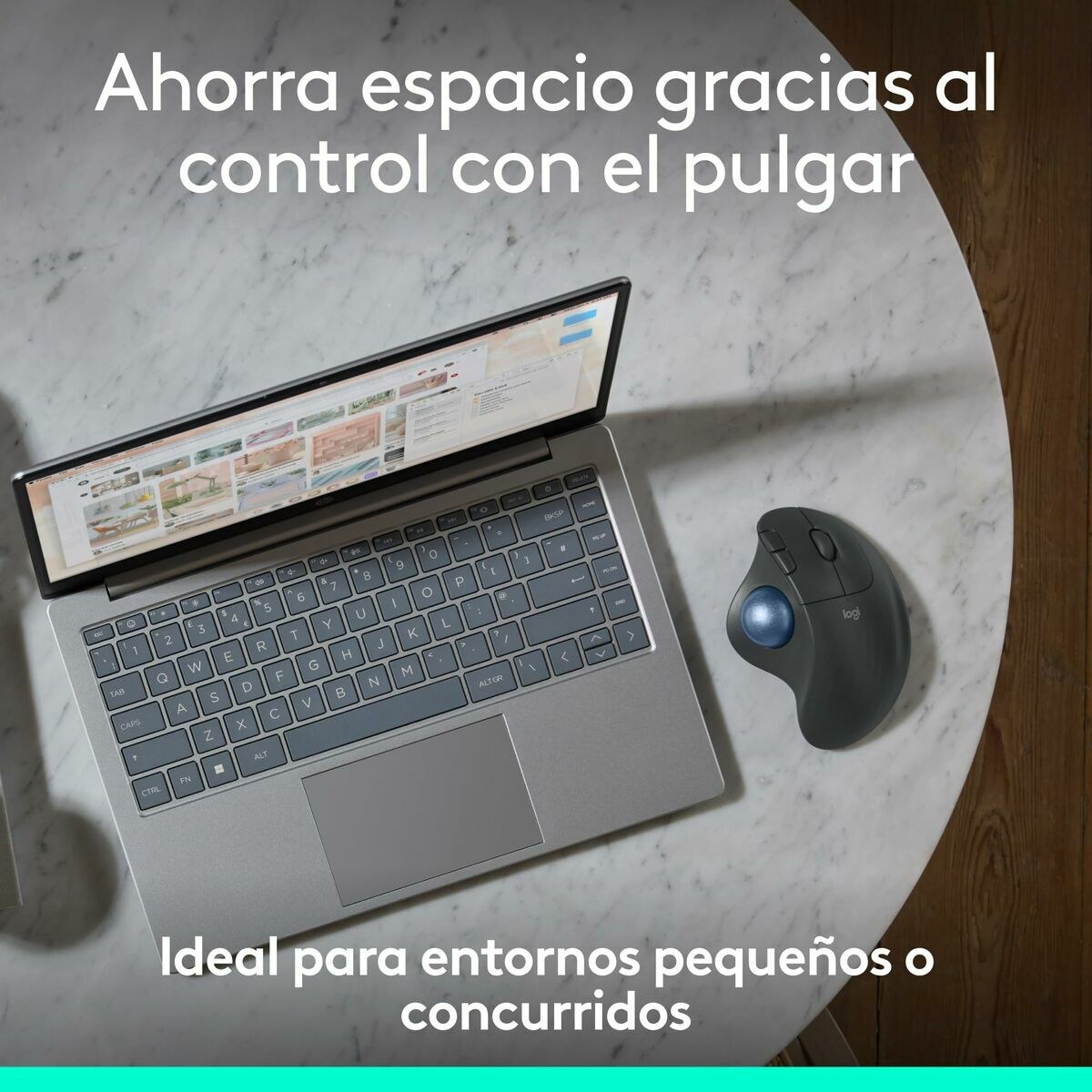 Mouse 910-007029