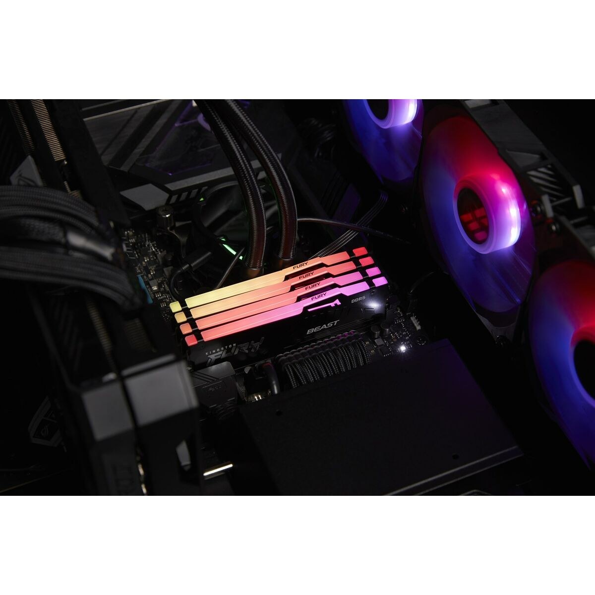 RAM Memory KF556C40BBAK4-128 128 GB DDR5 5600 MHz CL40