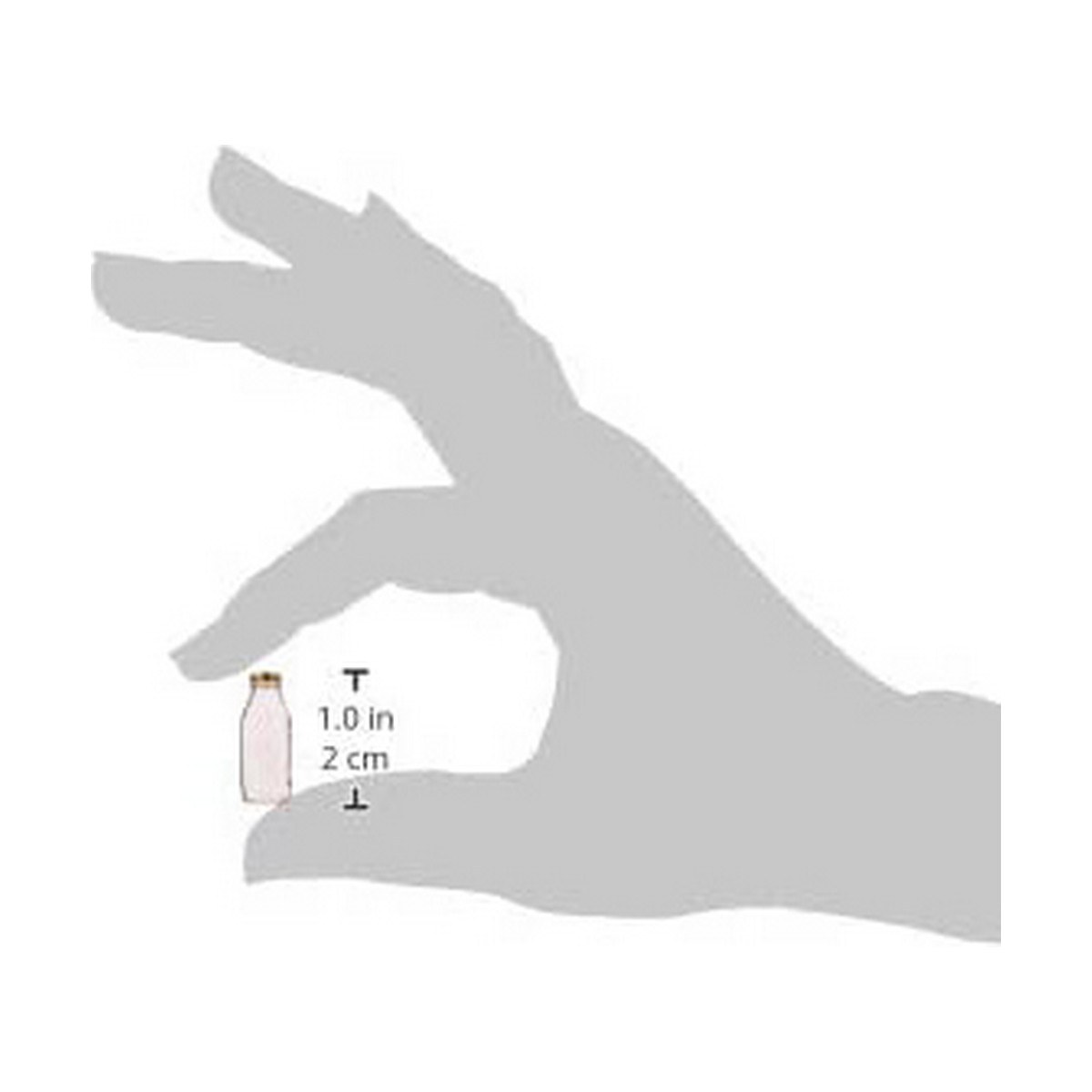 Bottle Quattro Stagioni Transparent Glass 1 L