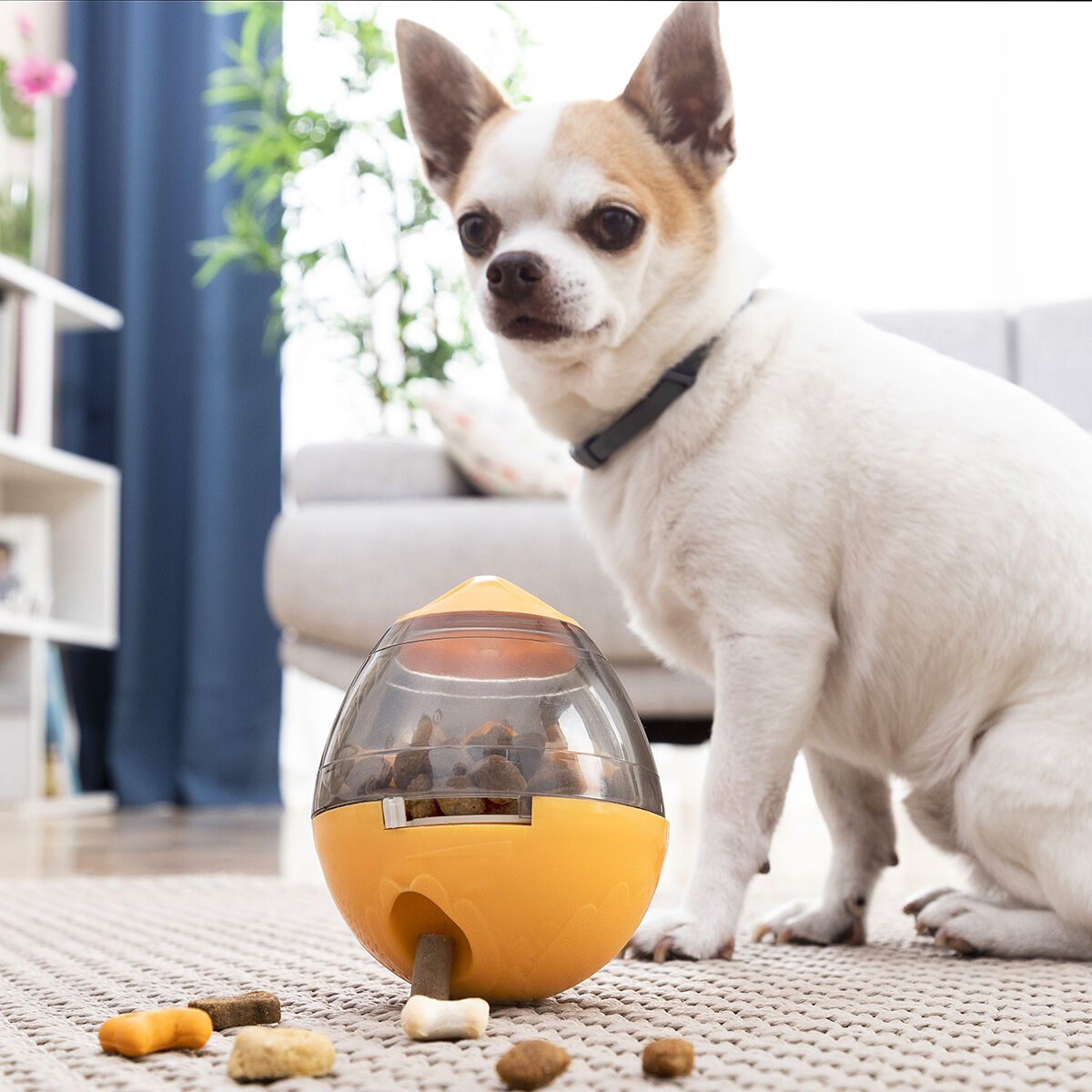 2-In-1 Treat Dispenser Toy for Pets Petyt