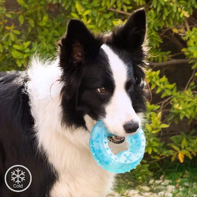 2-in-1 Freezable Pet Chew Toy Glubiz