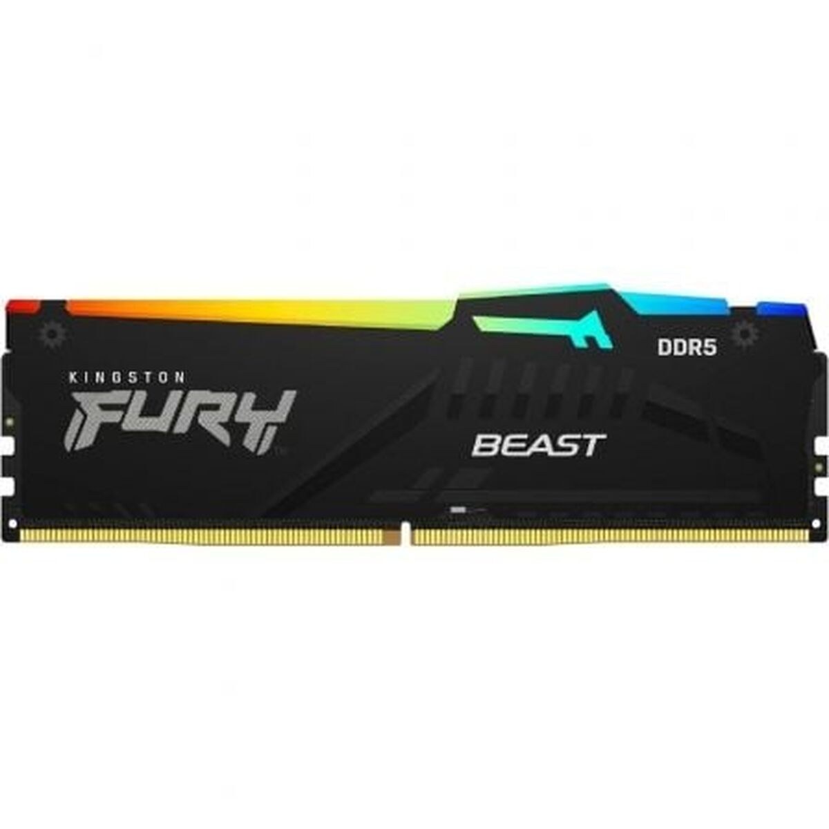 RAM Memory Beast RGB 16 GB DDR5 5600 MHz CL40
