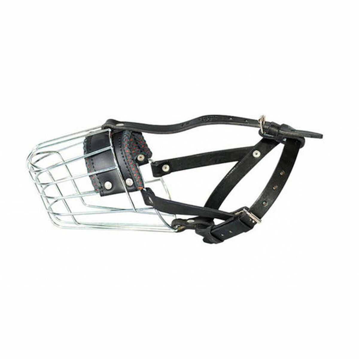 Muzzle Caniche