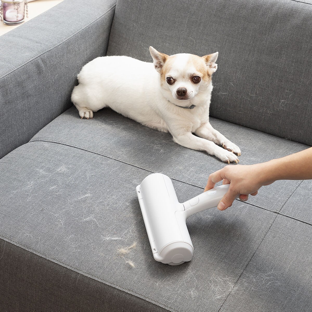 Pet Hair Remover Roller Rellair