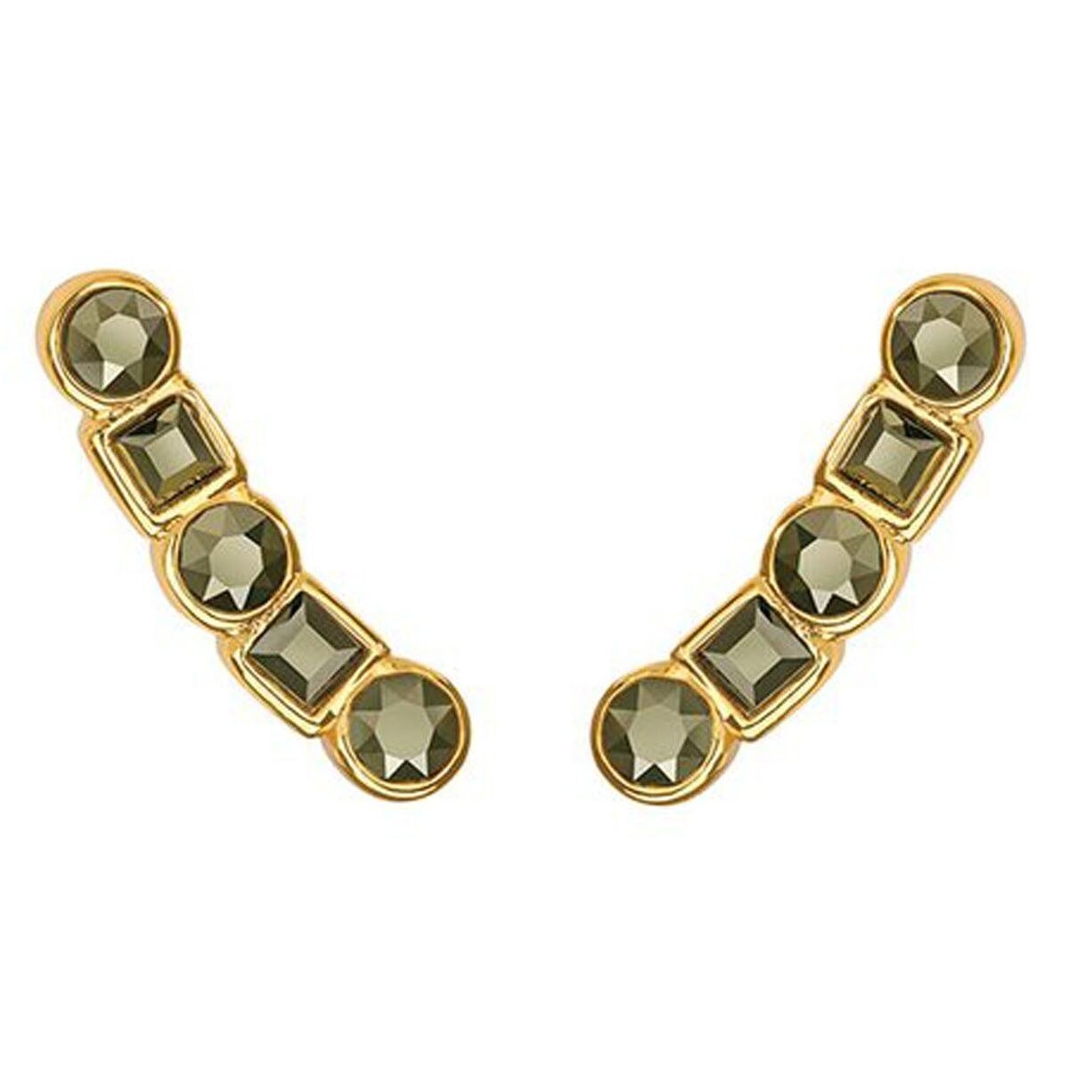 Ladies' Earrings 5375490