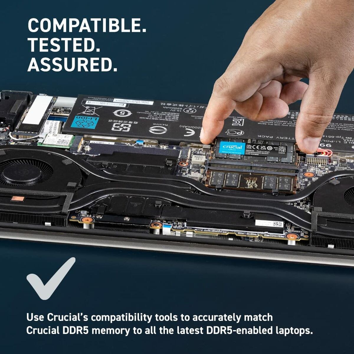 RAM Memory CT2K32G56C46S5 64 GB DDR5 SDRAM DDR5 5600 MHz