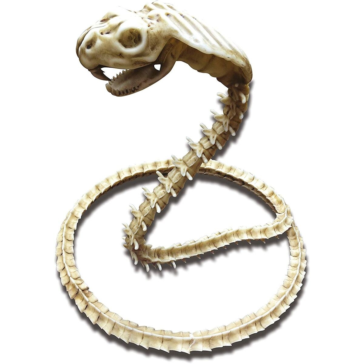 Аксессуары для костюмов Скелет Cobra