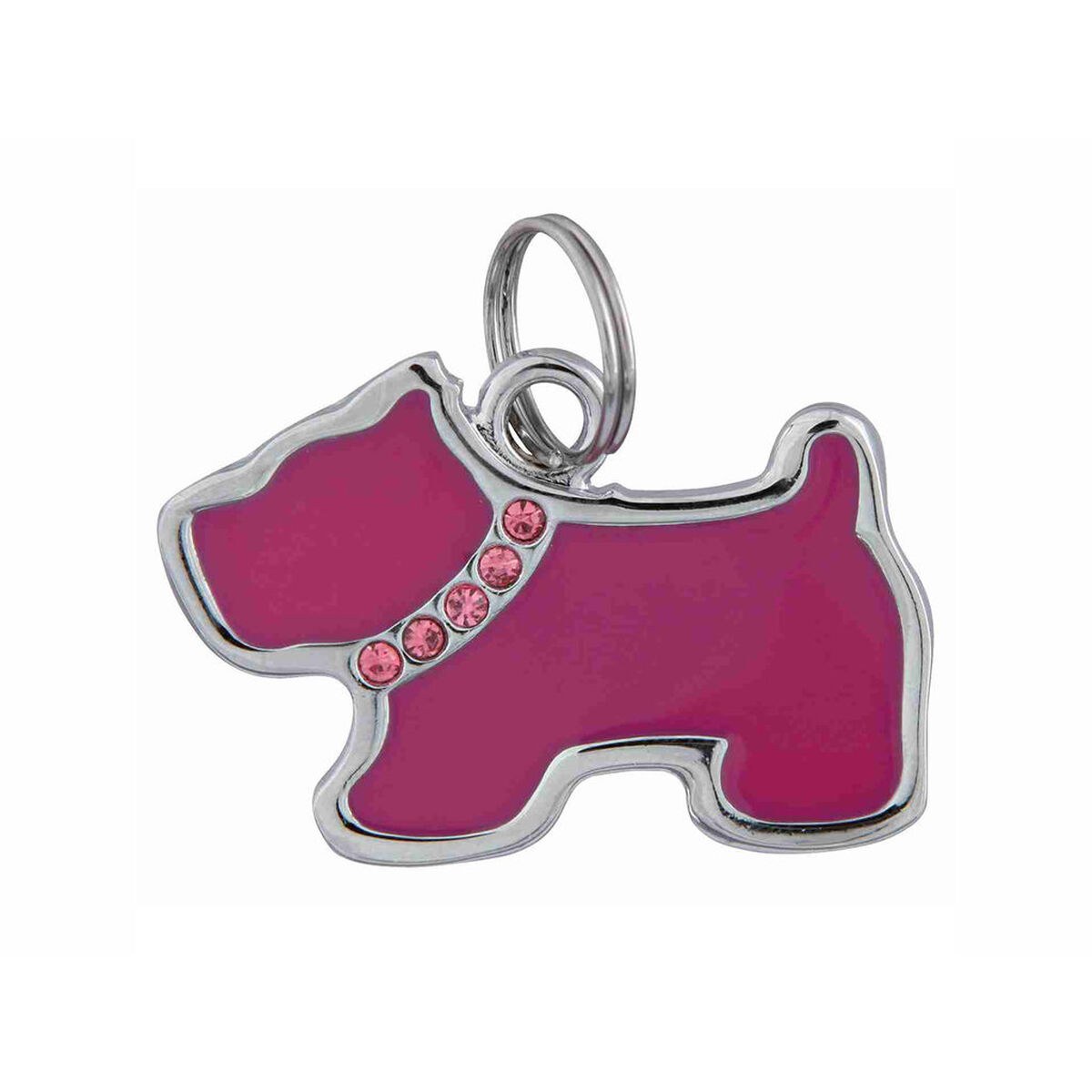 Identification plate for collar