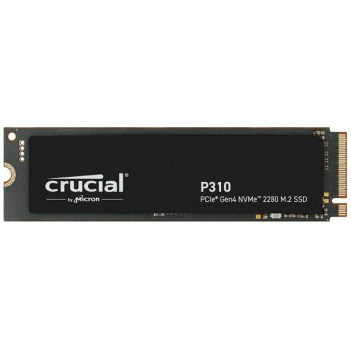 Hard Drive P310 1 TB SSD