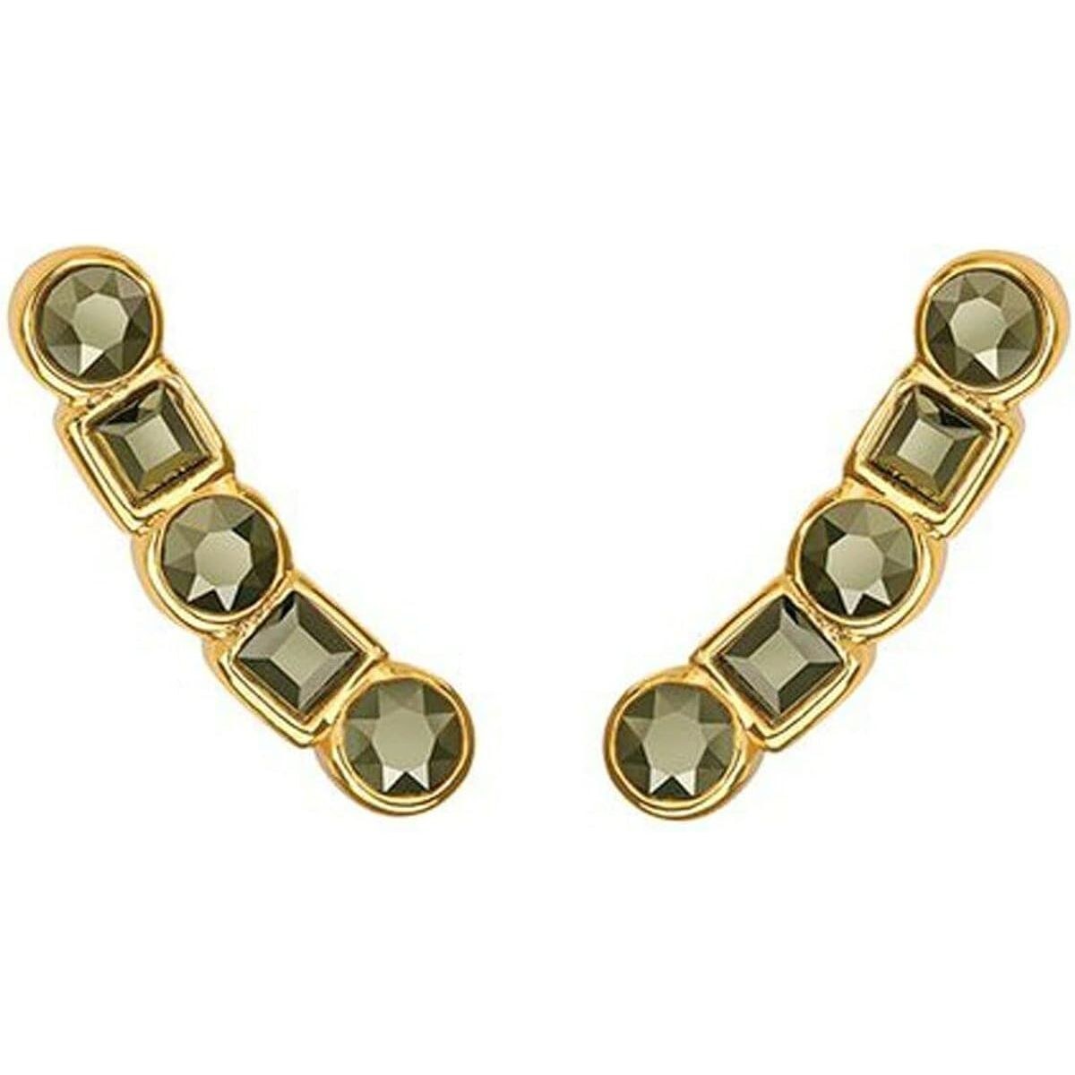 Ladies' Earrings 5375490