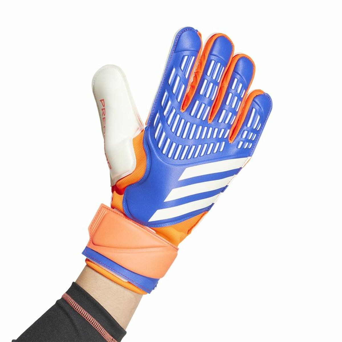 Goalkeeper Gloves Predator Match Multicolour Adults