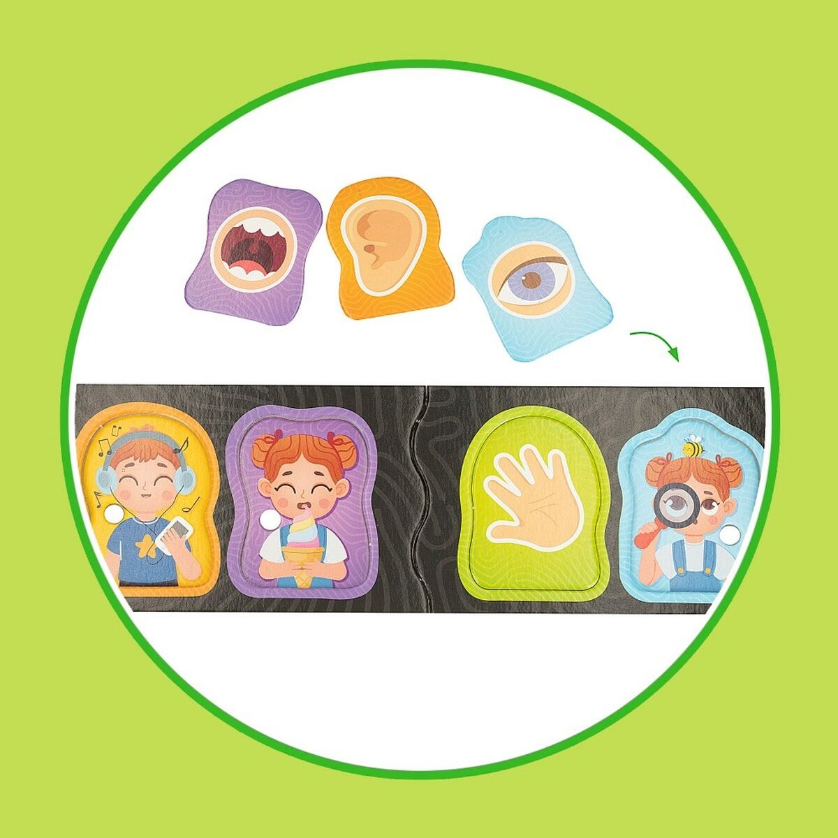 Образовательный набор Baby Doctor 22,5 x 0,5 x 47,5 cm (6 штук)