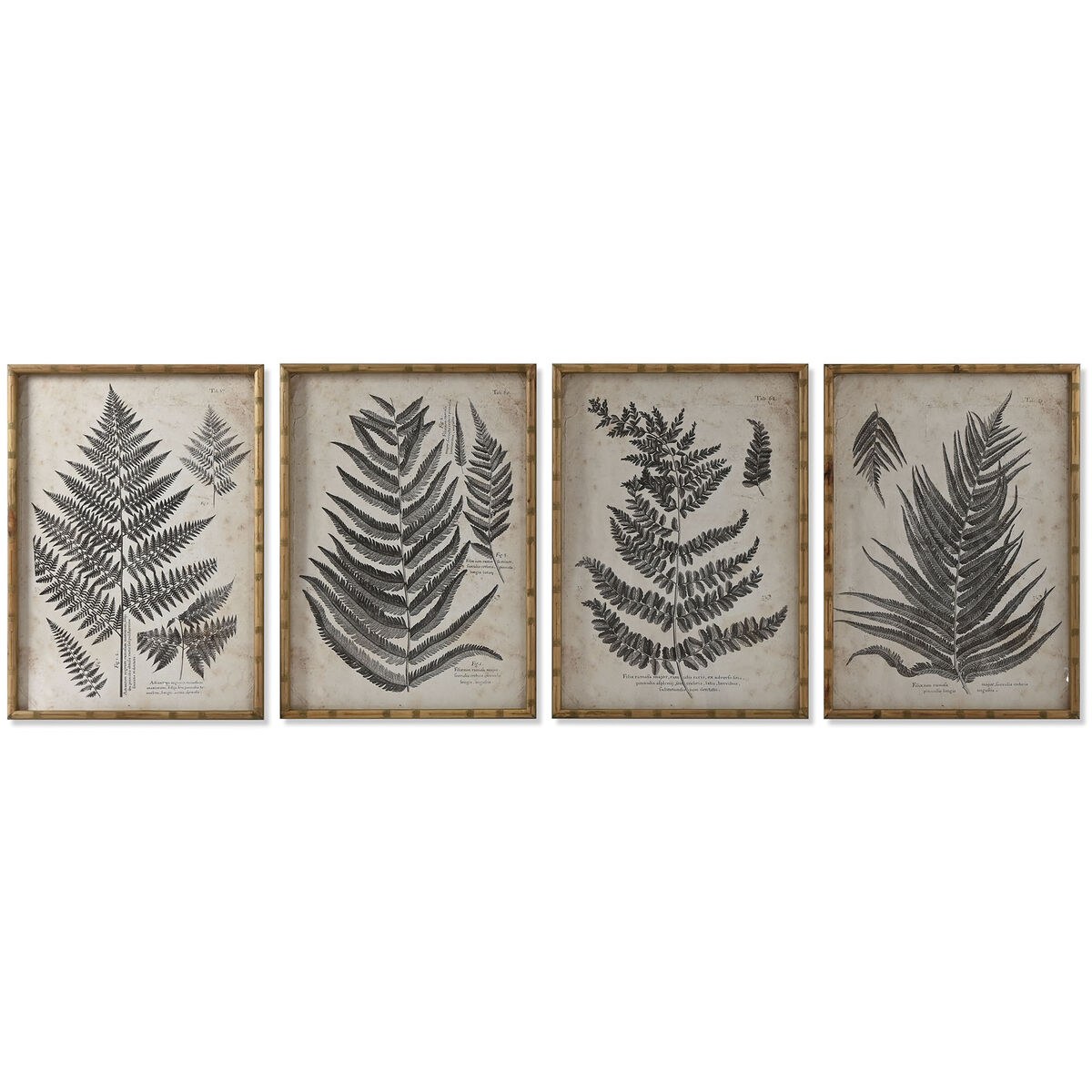 Картина Стеклянный Ель 50 x 3 x 70 cm 50 x 2,5 x 70 cm