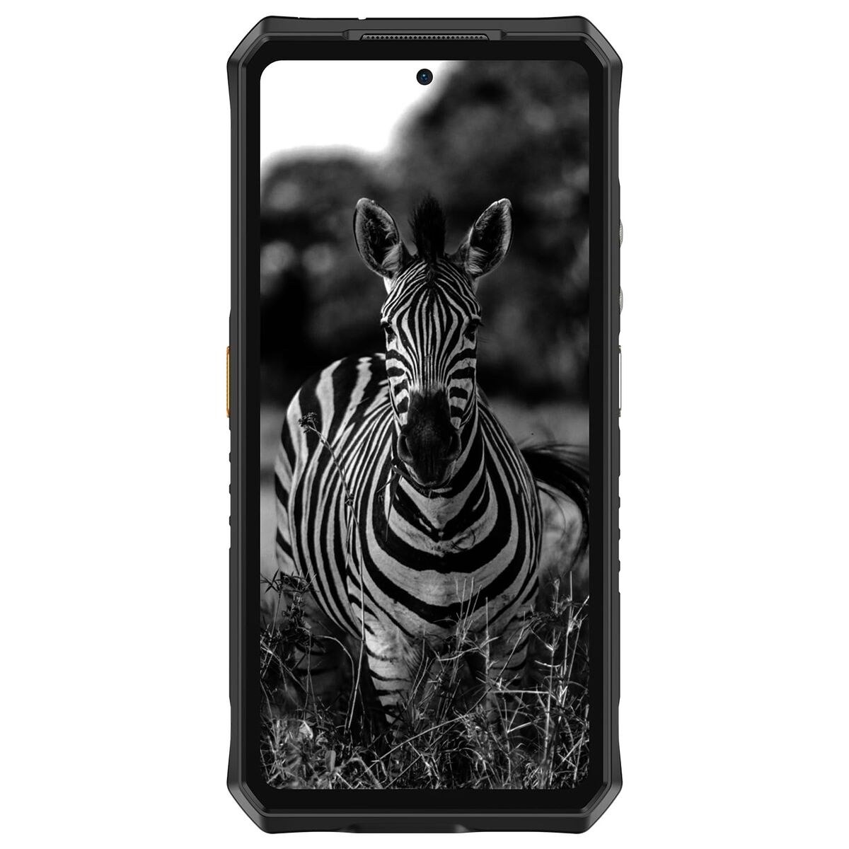 Смартфоны ARMOR 28 ULTRA
