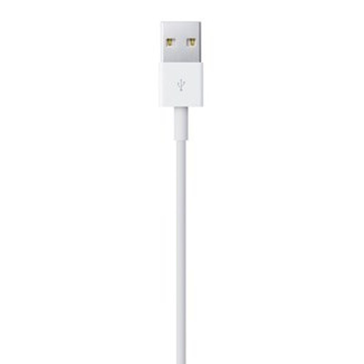 Lightning Cable Lightning / USB White 50 cm (1 Unit)