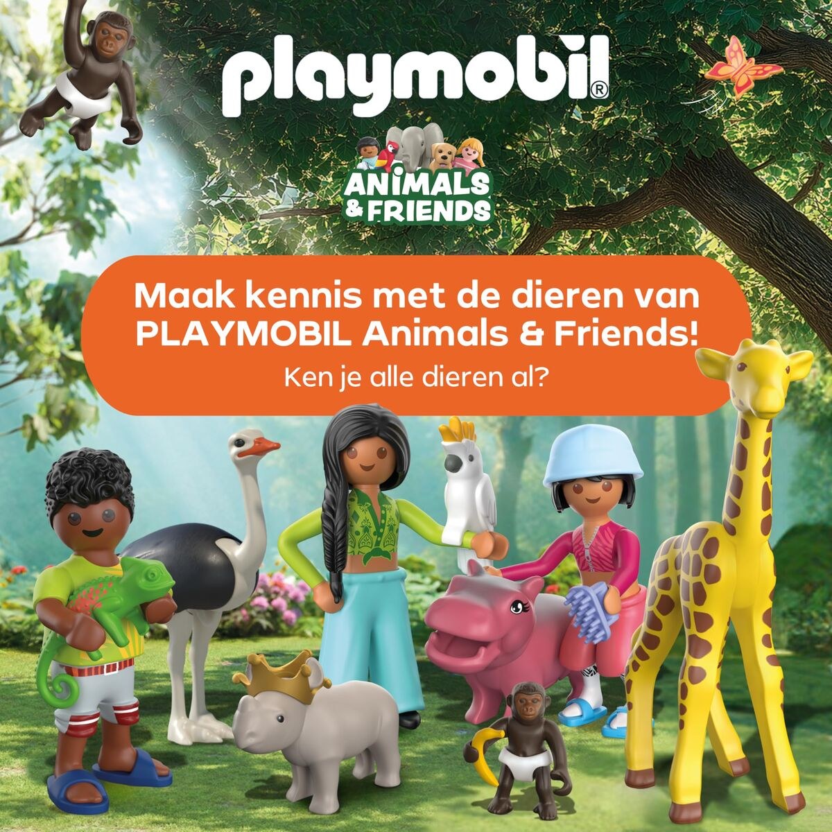 Playset 72070
