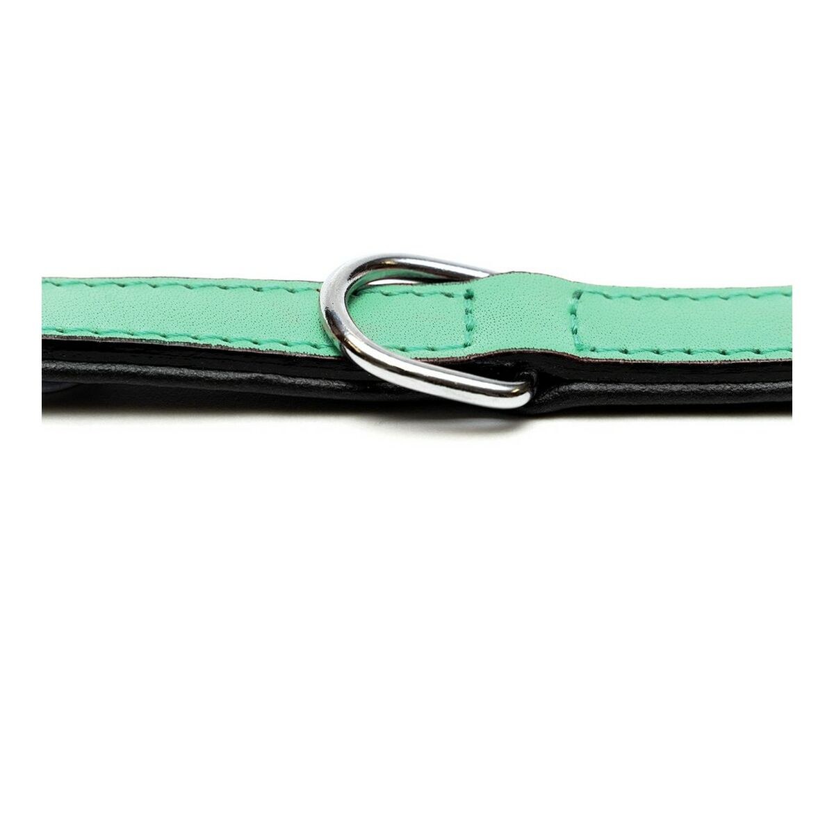 Dog collar Padded Green (55 x 2,5 cm)