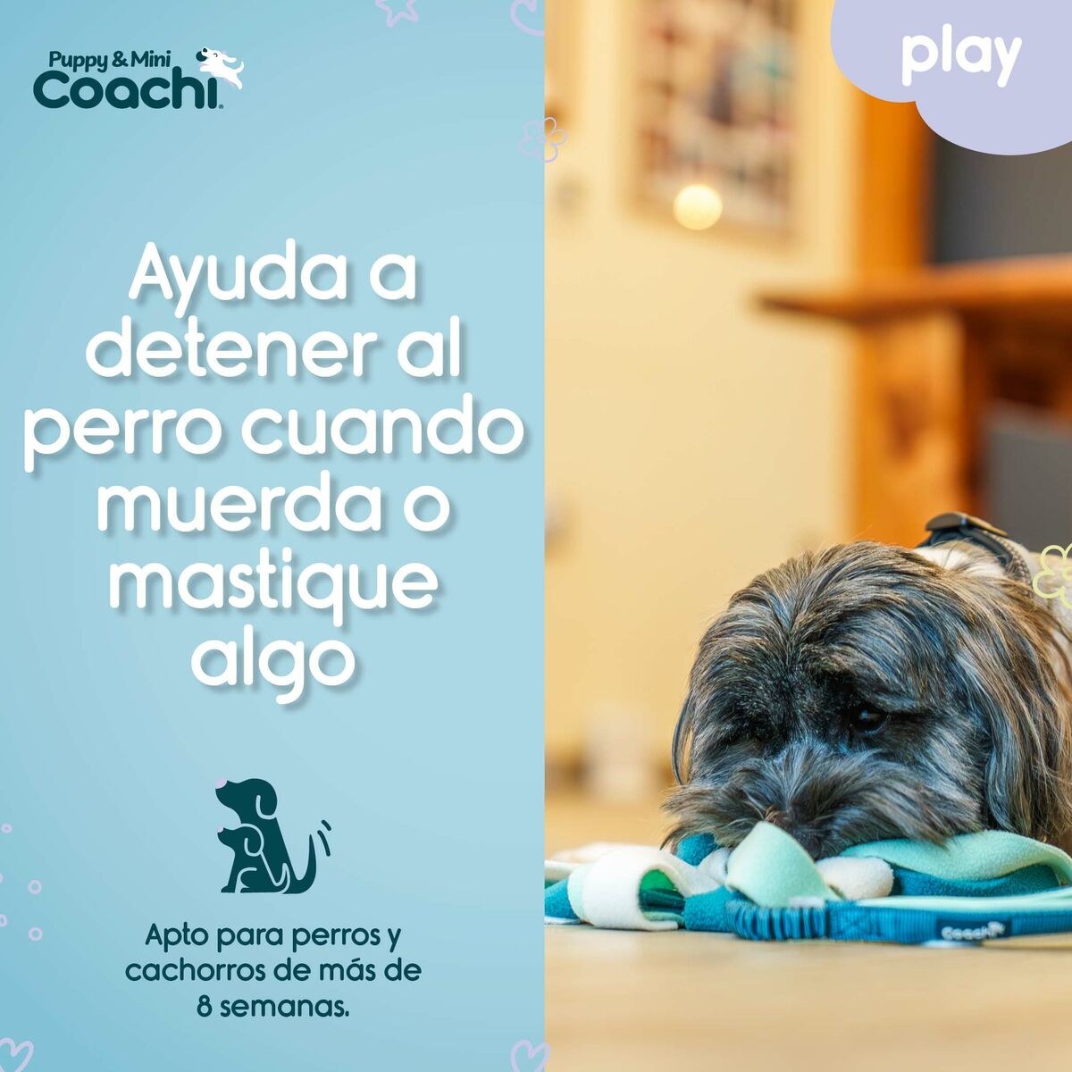 Игрушка для собак PUPPY & MINI TUGGI SPIDER Зеленый
