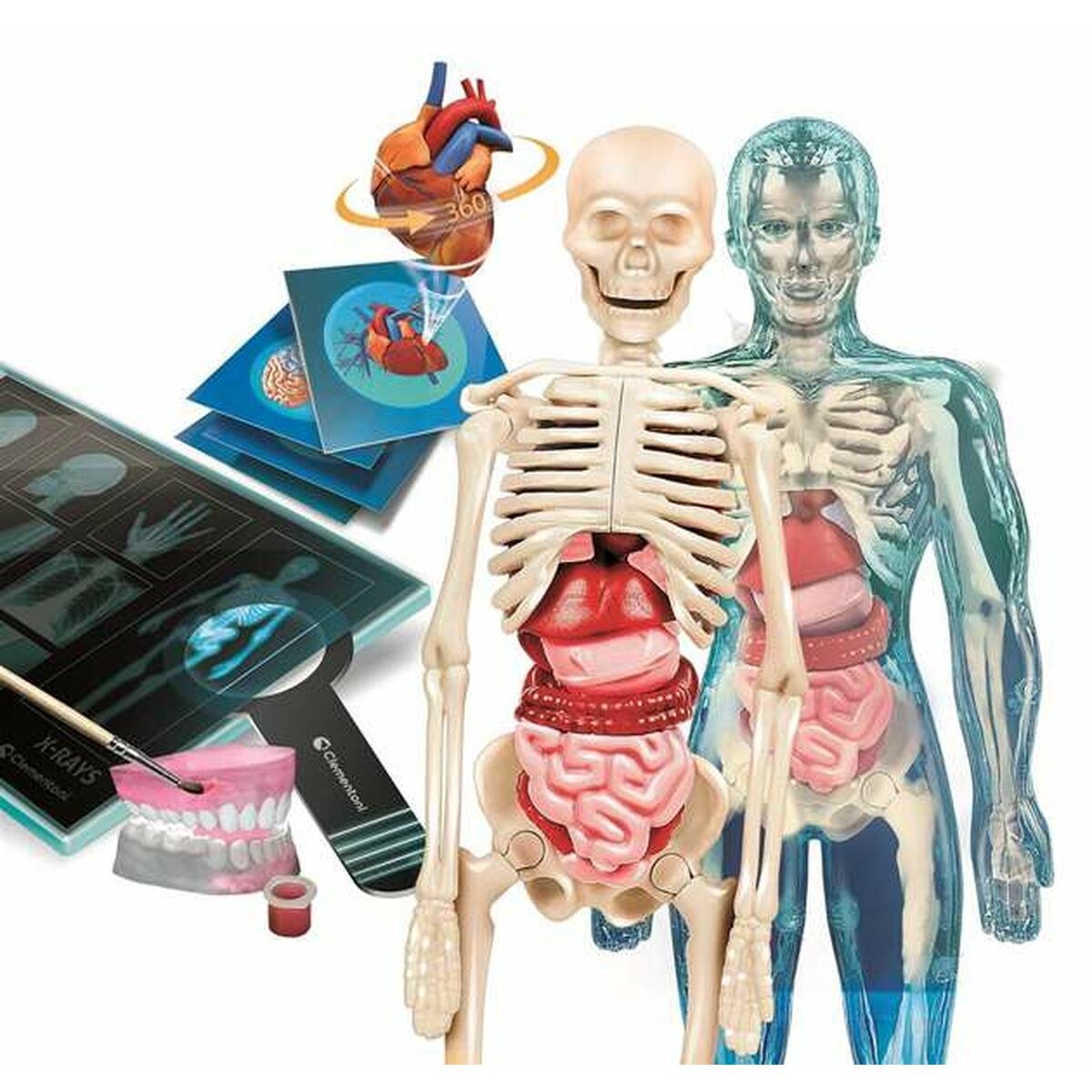 Science Game Superanatomía (ES)