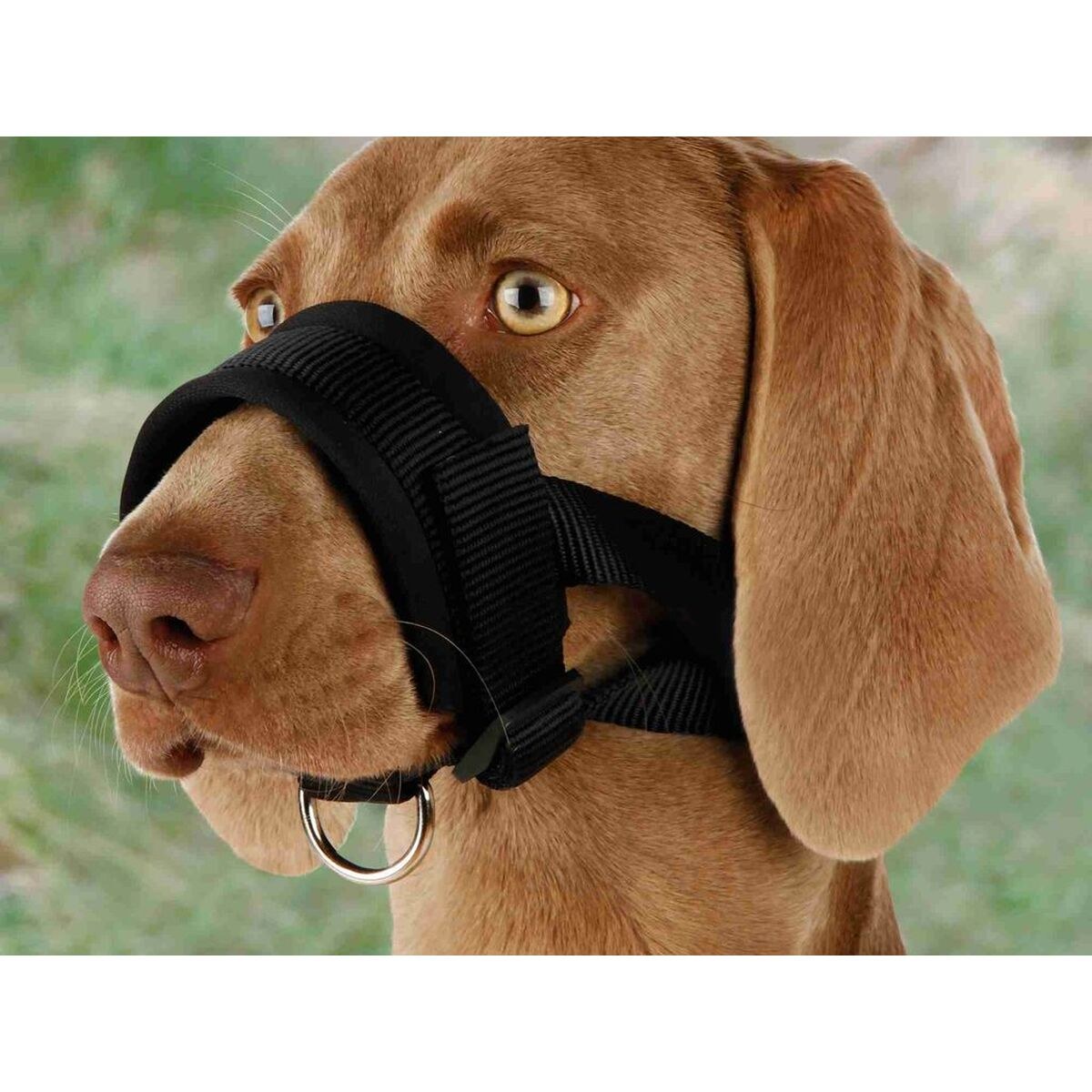 Muzzle Black
